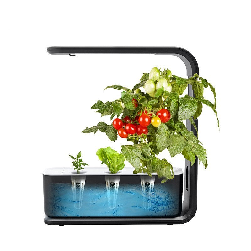 Indoor Vegetable Planter
