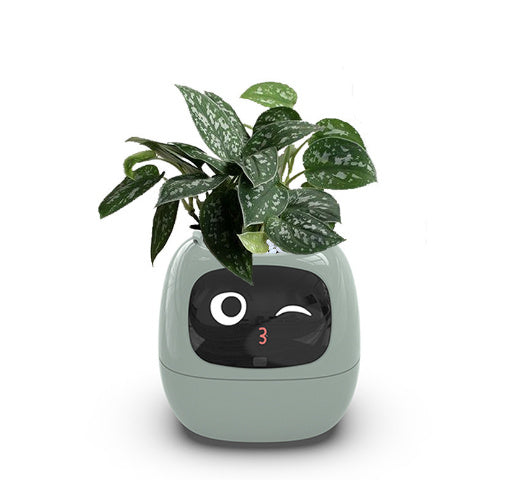 Smart Robot Planter