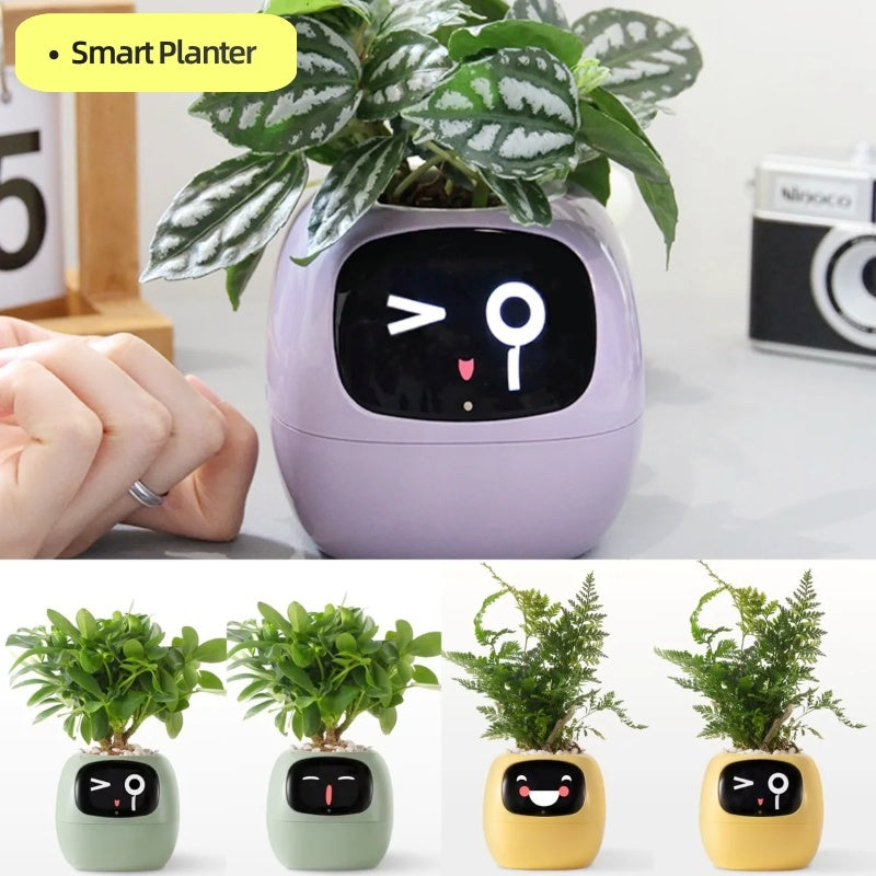 Smart Robot Planter
